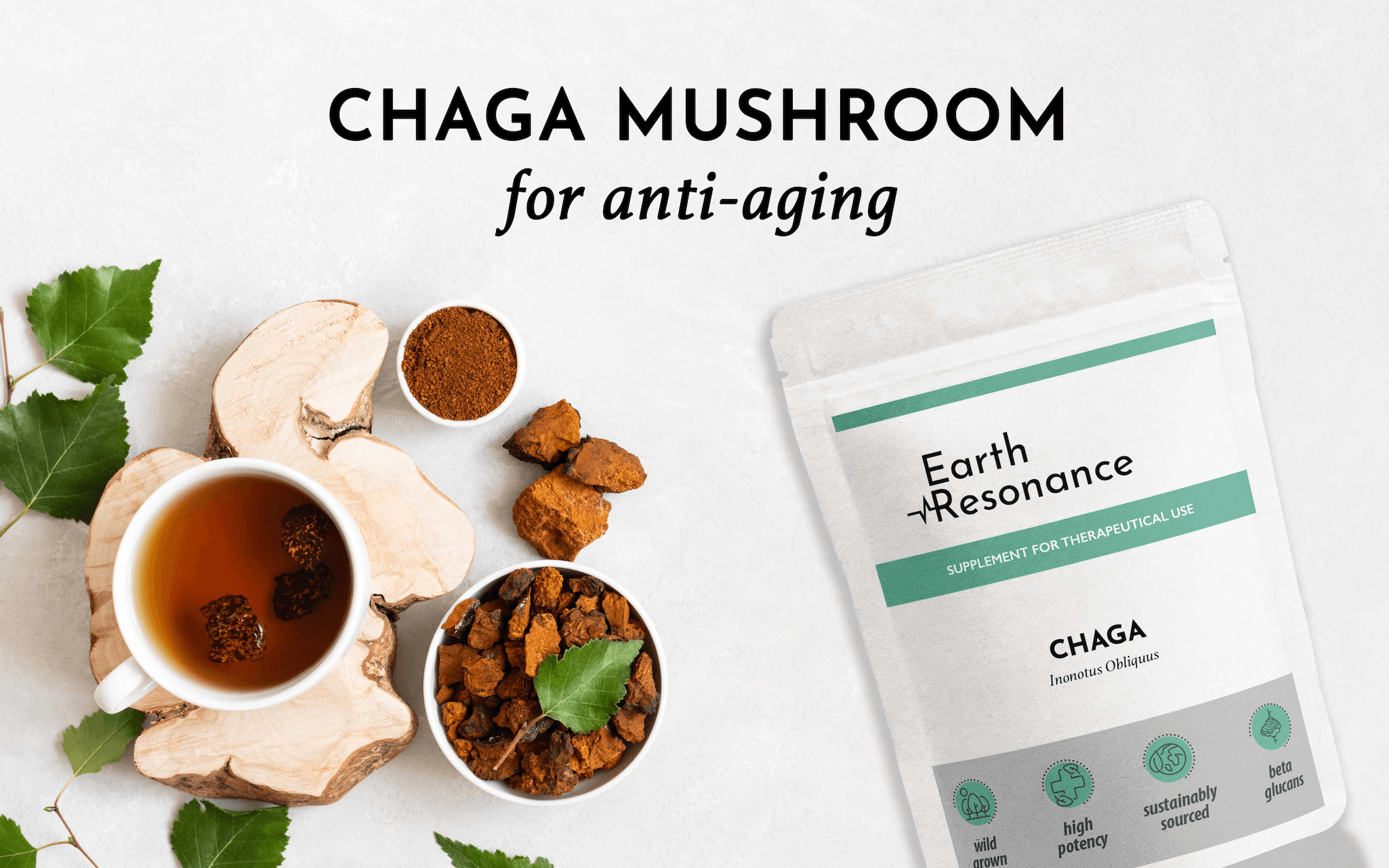 Discover 5 major reasons why Chaga is the #1 ANTI-AGING MUSHROOM - Earth Resonance