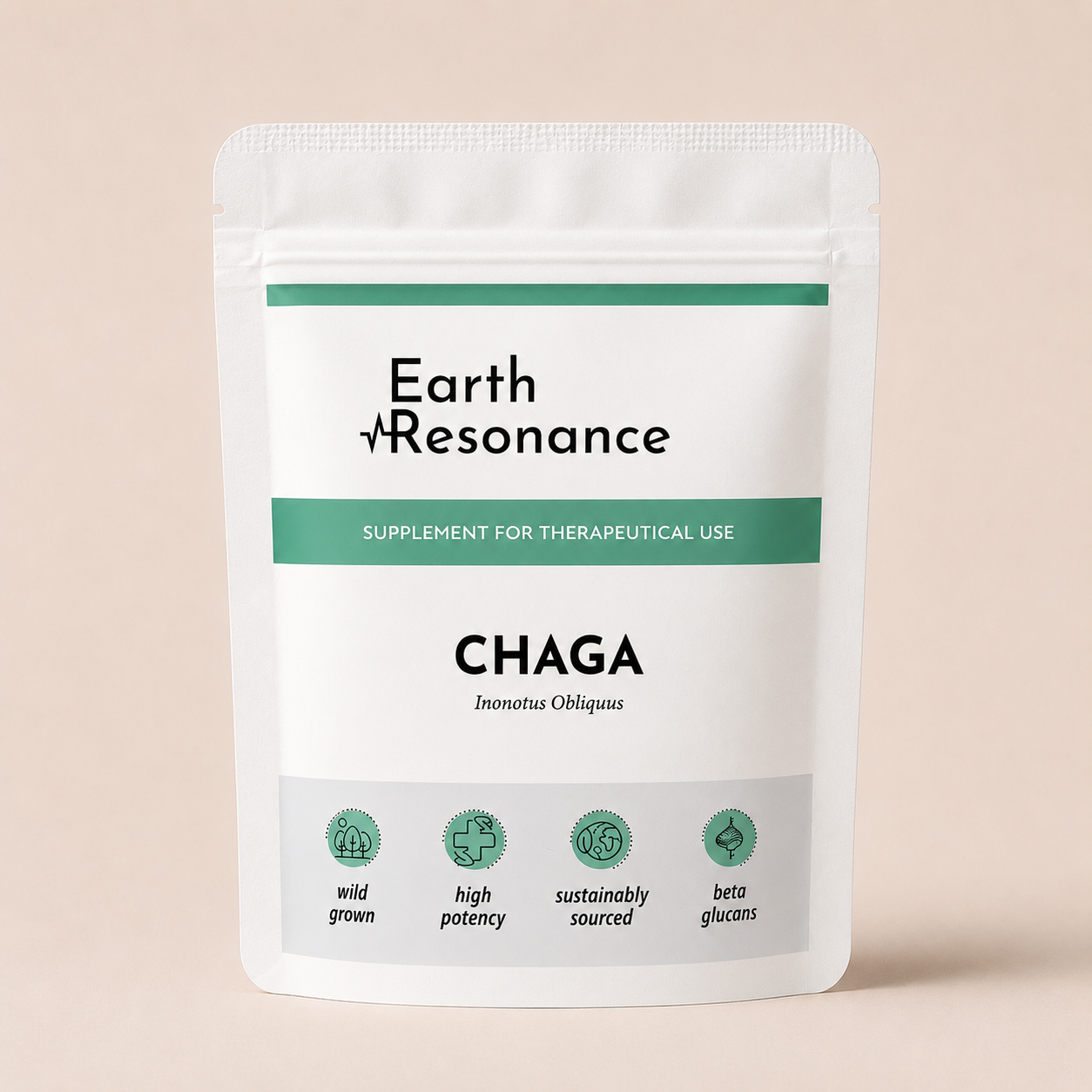 Chaga